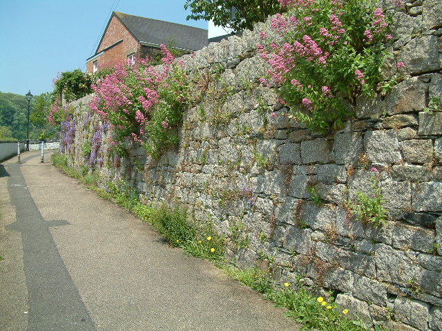 Floral wall, Helston. 29 May 2003.